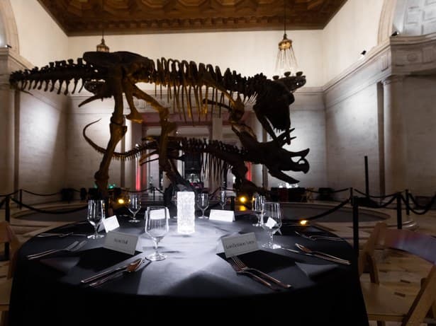 A dinner at the Natural History Museum